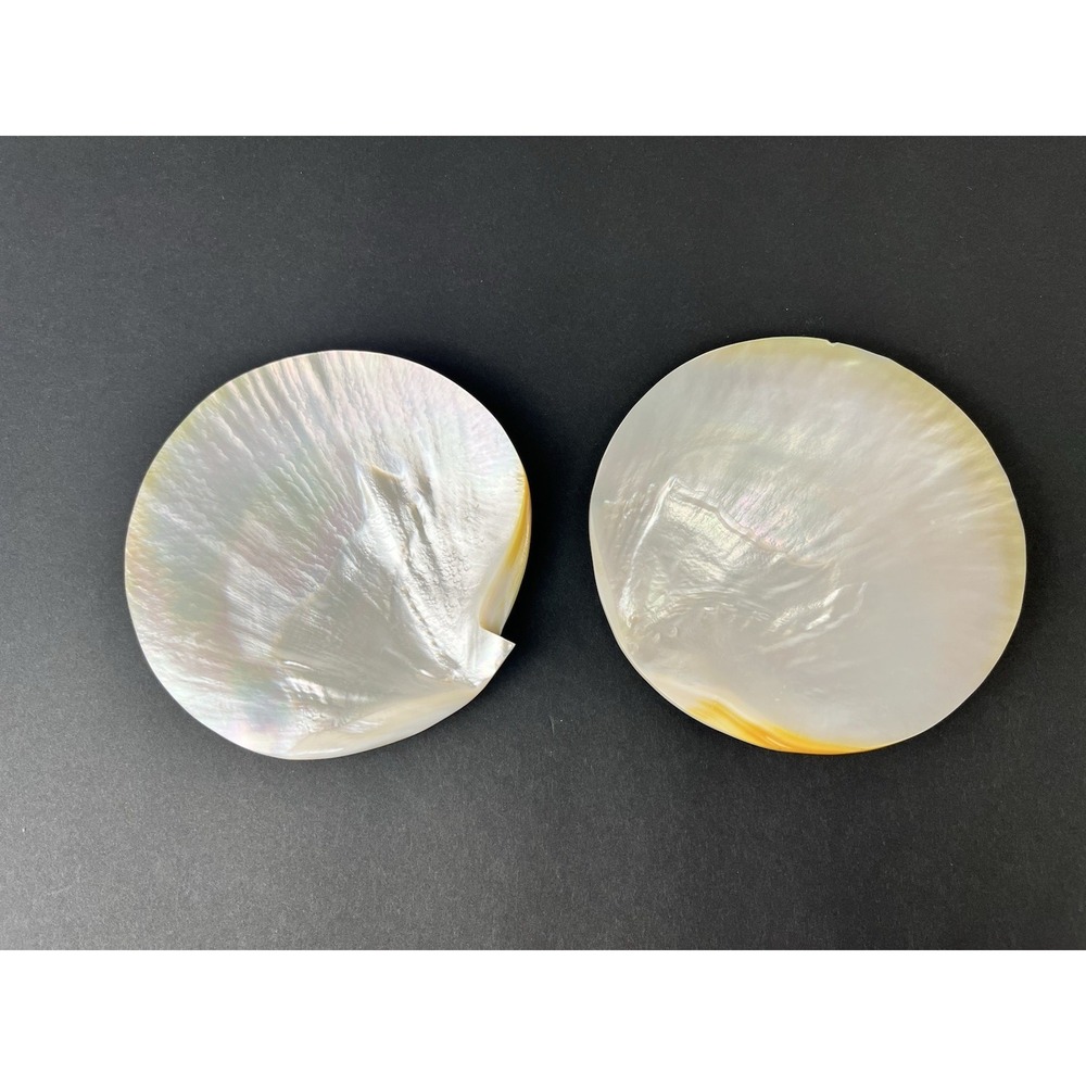 2 x Genuine Mother Of Pearl Sea Shell Caviar Dish Appetizer Plate 5.5" Sml Chip
